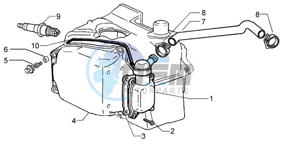 Oil drain valve