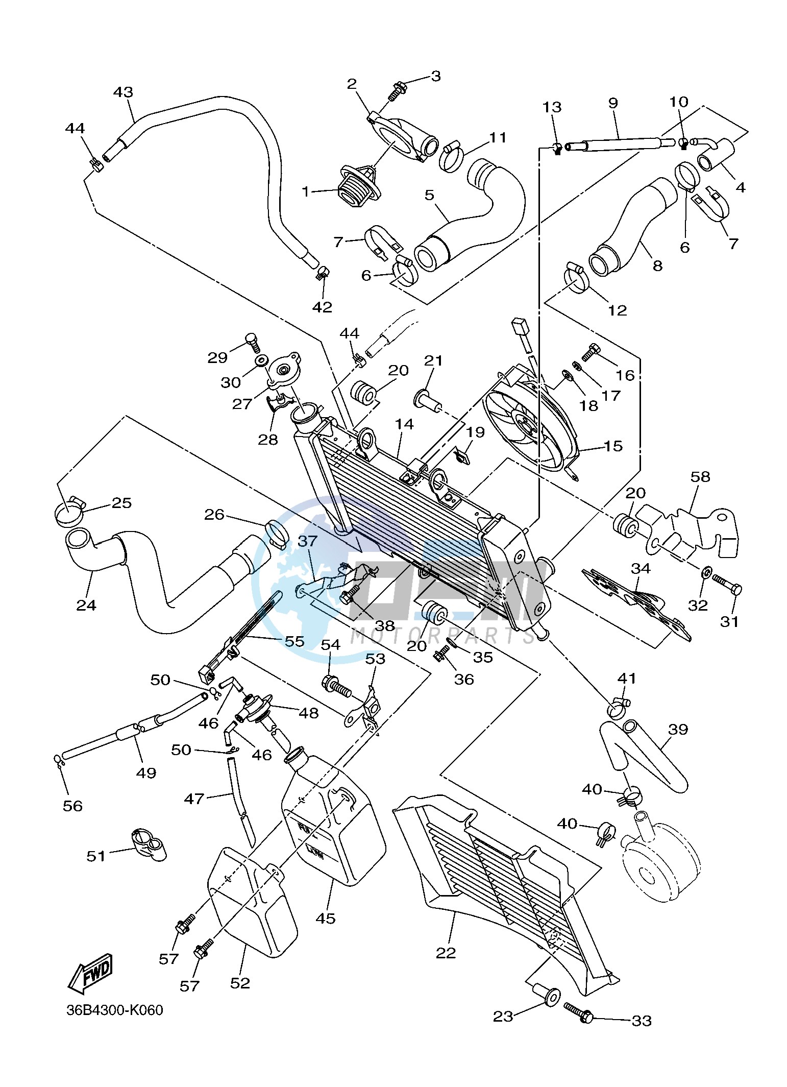 RADIATOR & HOSE