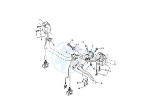 TDM 900 drawing HANDLE SWITCH- LEVER