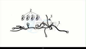 HD 300 (LS30W2Z1-EU) (M2) drawing WIREHARNESS / HD300 (LS30W2Z1-EU) (M2)