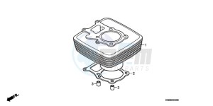 TRX250XA Australia - (U) drawing CYLINDER