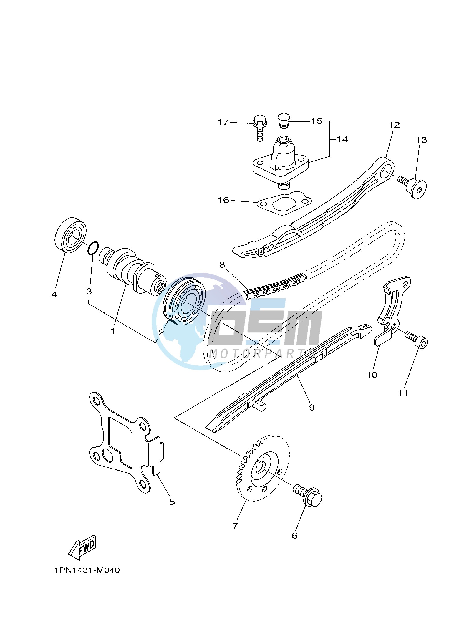 CAMSHAFT & CHAIN