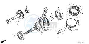 TRX500FAC drawing CRANKSHAFT/ PI STON