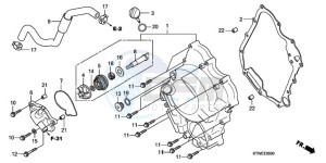 SH300AR9 Europe Direct - (ED / ABS) drawing RIGHT CRANKCASE COVER/ WATER PUMP