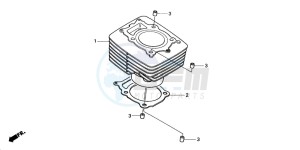 TRX350TM RANCHER S drawing CYLINDER