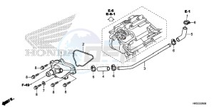 TRX420TM1F TRX420 Europe Direct - (ED) drawing WATER PUMP COVER