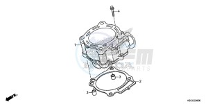 CRF250XD CRF250R Europe Direct - (ED) drawing CYLINDER