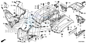 TRX500FM1E TRX500FM1 Europe Direct - (ED) drawing REAR FENDER