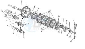 PRIMA 3-6V 50 drawing CLUTCH