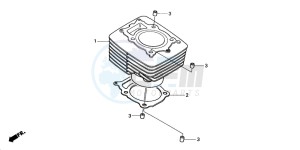 TRX350TM RANCHER drawing CYLINDER