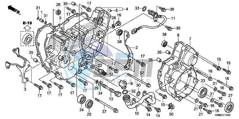 REAR CRANKCASE COVER