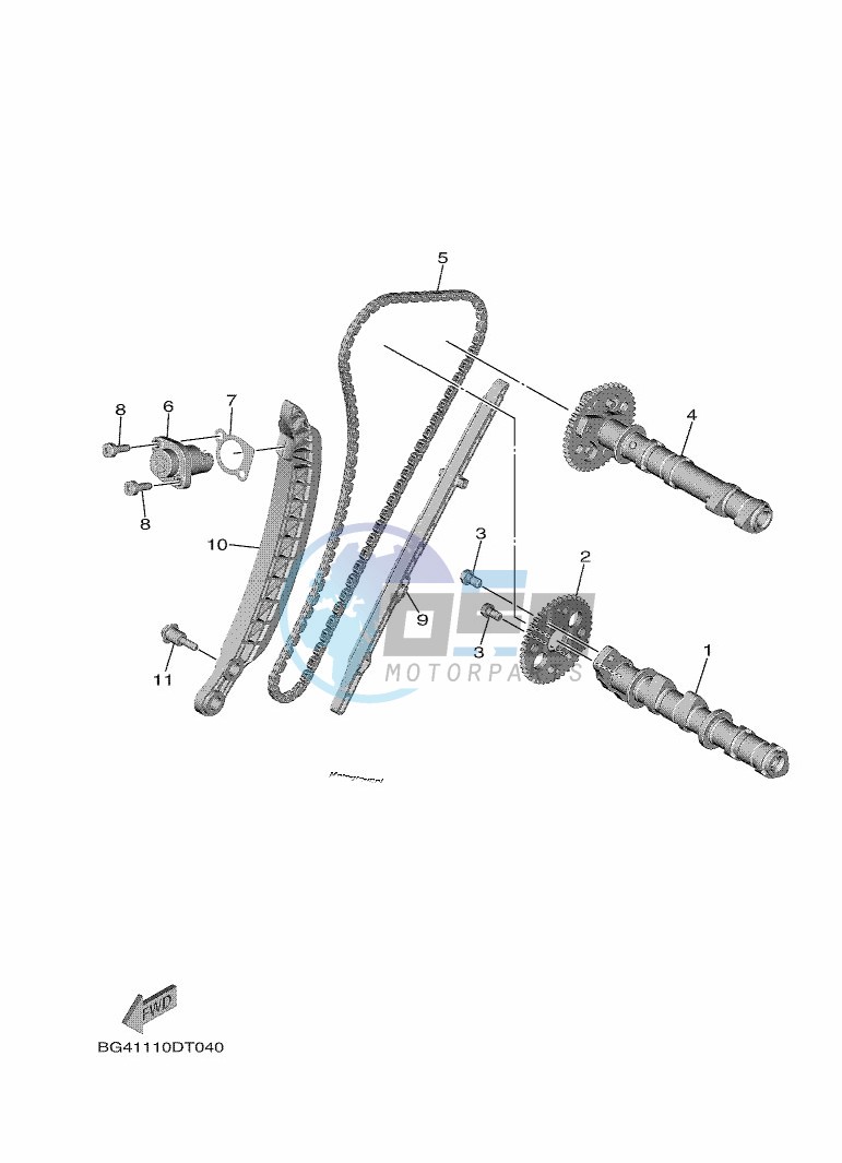 CAMSHAFT & CHAIN