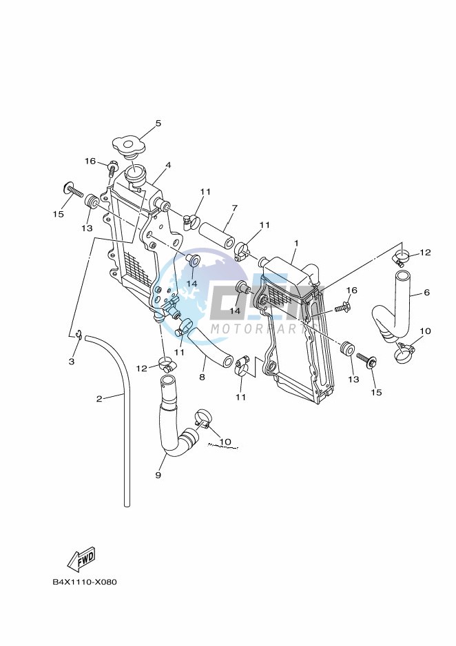 RADIATOR & HOSE