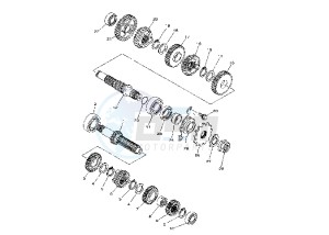 WR F 250 drawing TRANSMISSION