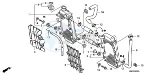 CRF150R9 Australia - (U) drawing RADIATOR