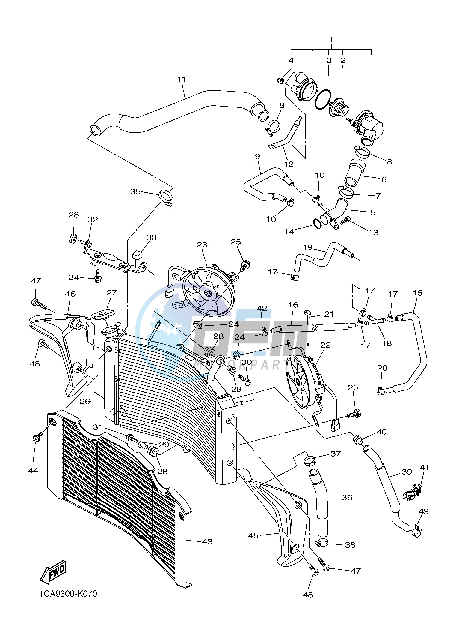 RADIATOR & HOSE