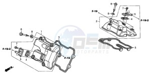 XL1000V drawing CYLINDER HEAD COVER