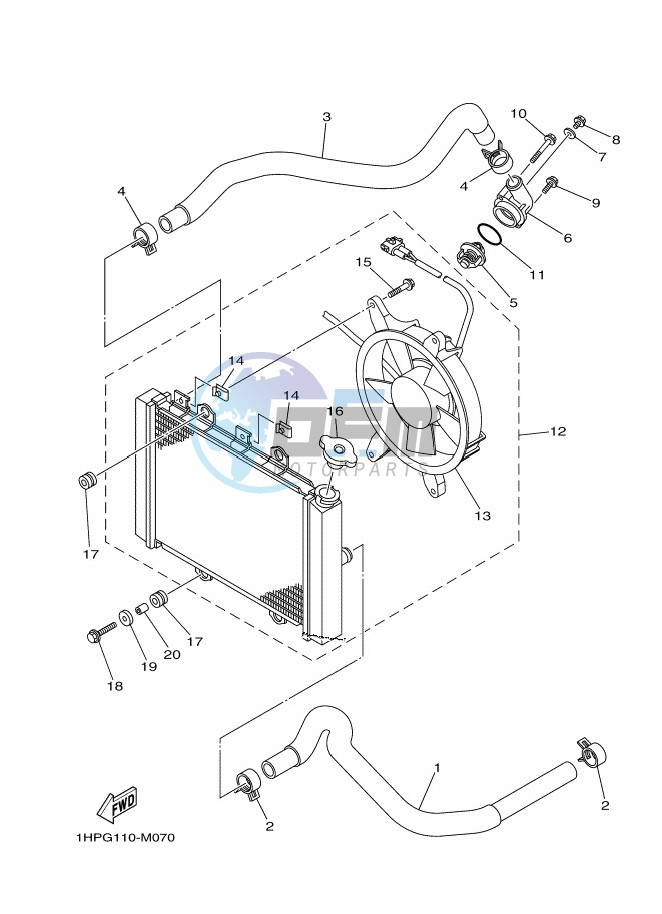 RADIATOR & HOSE