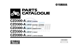 CZD300-A XMAX 300 (BY37) drawing Infopage-1