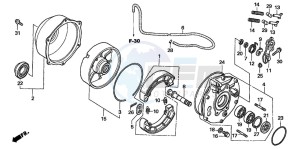 TRX500TM drawing REAR BRAKE PANEL