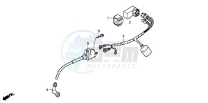 CRF50F drawing WIRE HARNESS