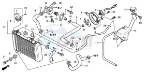 CBR125RW drawing RADIATOR (CBR125RW7)