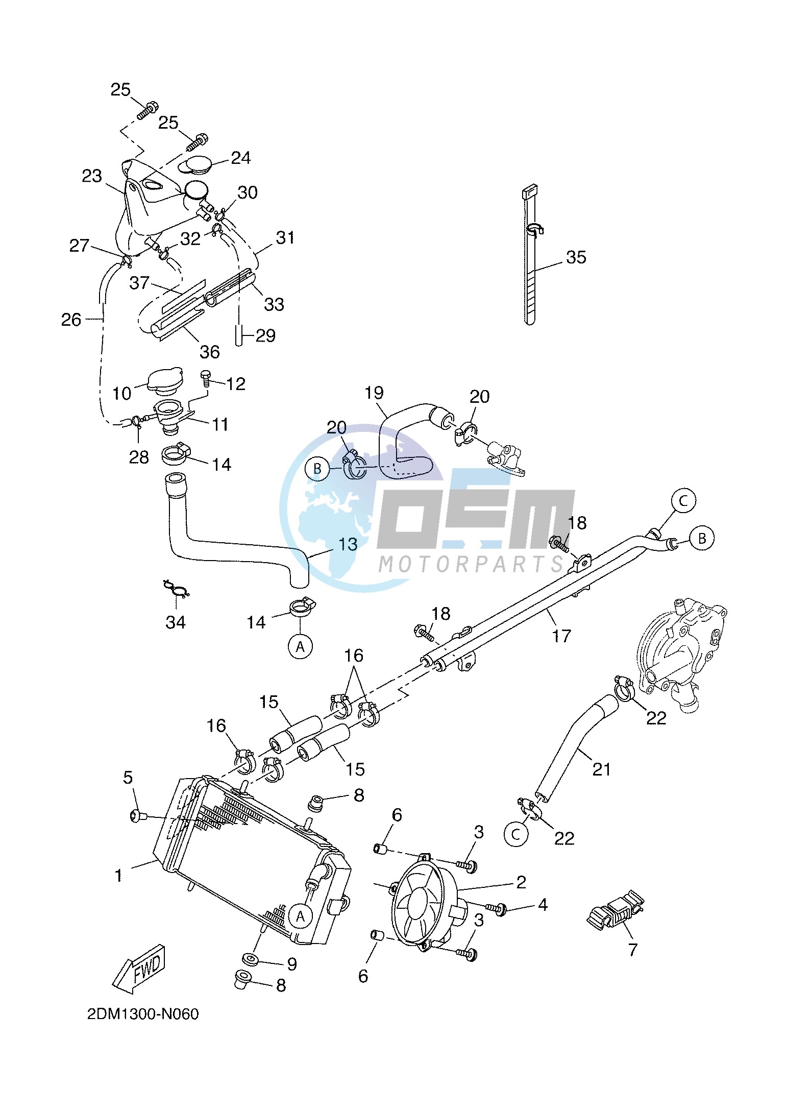 RADIATOR & HOSE