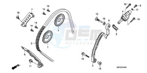 CBF600NA9 Europe Direct - (ED / ABS) drawing CAM CHAIN/TENSIONER