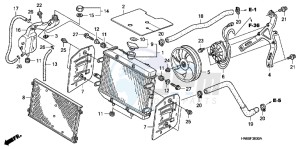 TRX680FAC drawing RADIATOR