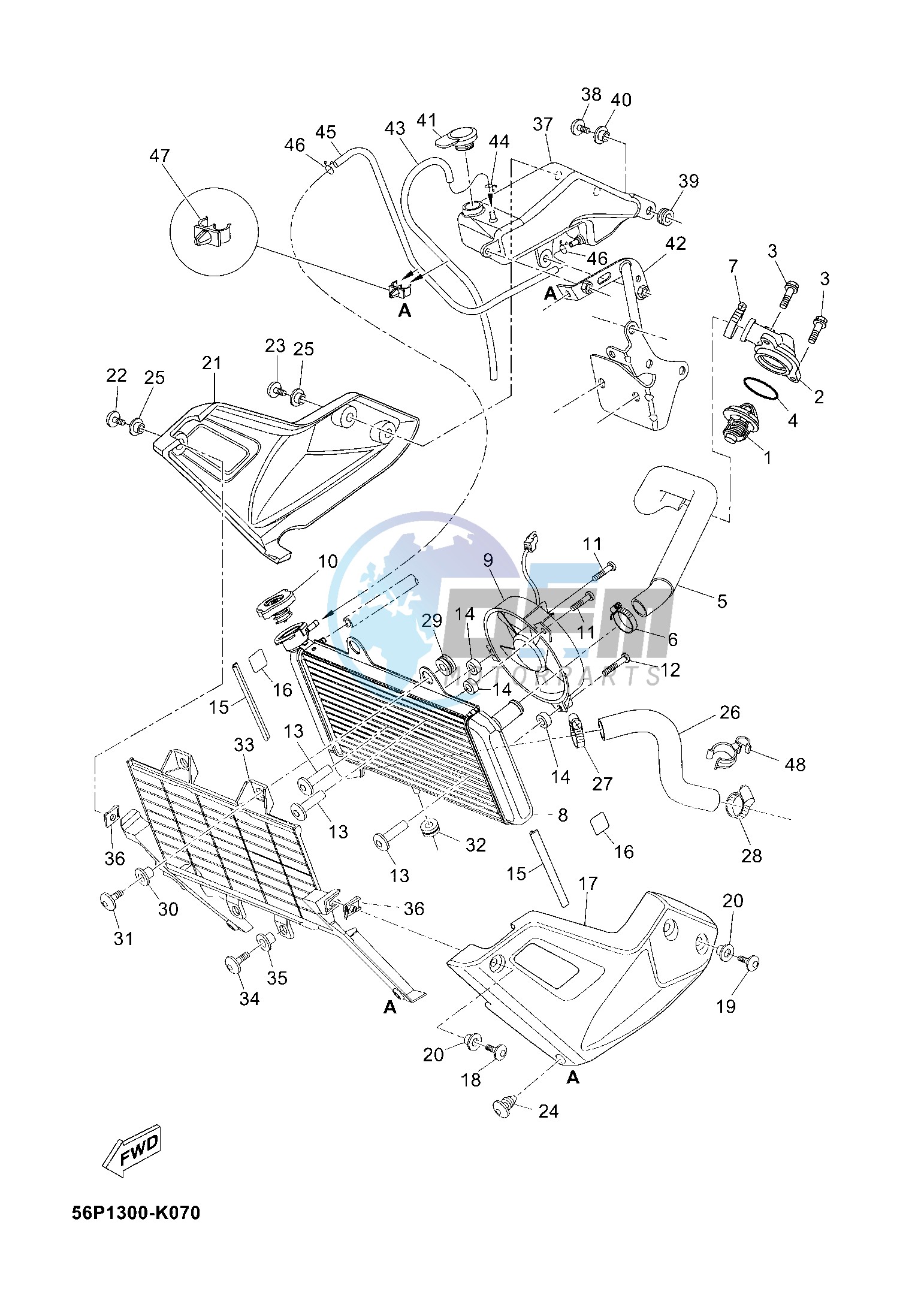 RADIATOR & HOSE