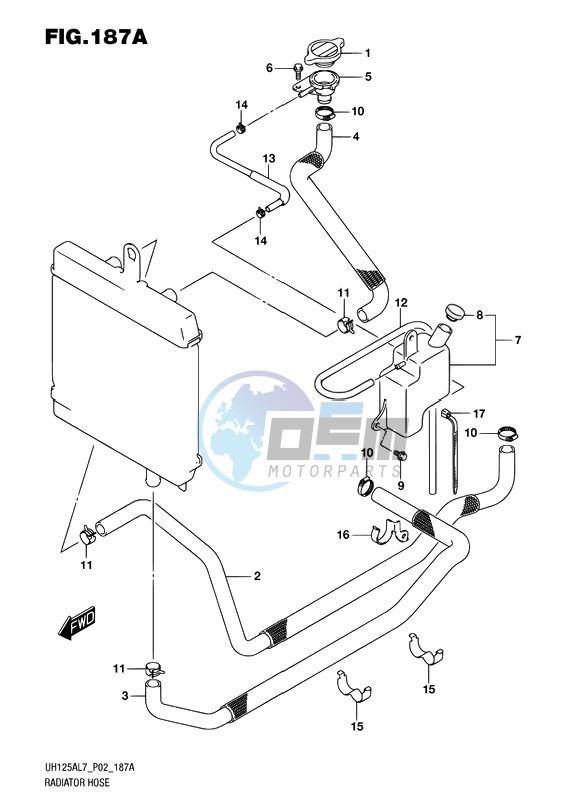 RADIATOR HOSE