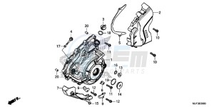 CRF1000DG CRF1000 - Africa Twin - Dual Clutch Europe Direct - (ED) drawing LEFT CRANKCASE COVER