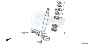 CBF1000FC CBF1000F E drawing STEERING STEM