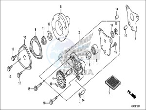 CRF125FBH Europe Direct - (ED) drawing OIL PUMP