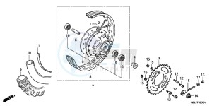 CRF50FE CRF50F Europe Direct - (ED) drawing REAR WHEEL