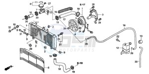 CBF600N drawing RADIATOR (CB600N6/NA6)