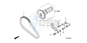 TRX420FE9 Australia - (U / 4WD) drawing CAM CHAIN/TENSIONER