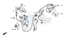 SH50 SCOOPY drawing WIRE HARNESS