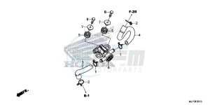 CRF1000DG CRF1000 - Africa Twin - Dual Clutch Europe Direct - (ED) drawing AIR INJECTION SOLENOID VALVE