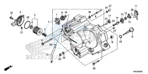 TRX500FM5G TRX500FM Australia - (U) drawing FRONT CRANKCASE COVER