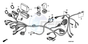 TRX250TEA Europe Direct - (ED / EC) drawing WIRE HARNESS (TRX250TE)