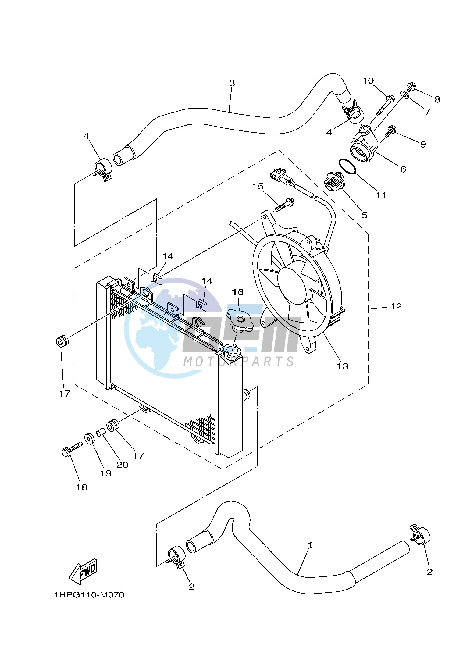 RADIATOR & HOSE