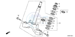 WW125D PCX125 - WW125 UK - (E) drawing STEERING STEM (WW125EX2C/ EX2D/ EX2E/ D)