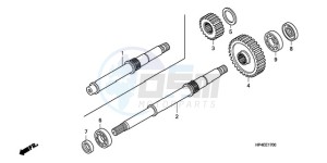 TRX420FMA Australia - (U / 2U 4WD) drawing FINAL SHAFT