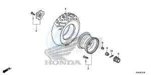 TRX500FE1F TRX500F Europe Direct - (ED) drawing REAR WHEEL