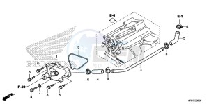 TRX500FE2H Europe Direct - (ED) drawing WATER PUMP COVER