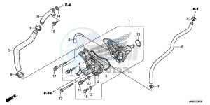 TRX680FAF TRX680 Europe Direct - (ED) drawing WATER PUMP