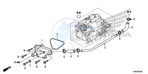 TRX500FA6F TRX500FA ED drawing WATER PUMP COVER