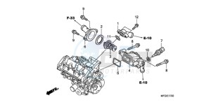 CB600FA Europe Direct - (ED / 25K) drawing THERMOSTAT