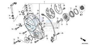 CBR600FAC drawing RIGHT CRANKCASE COVER